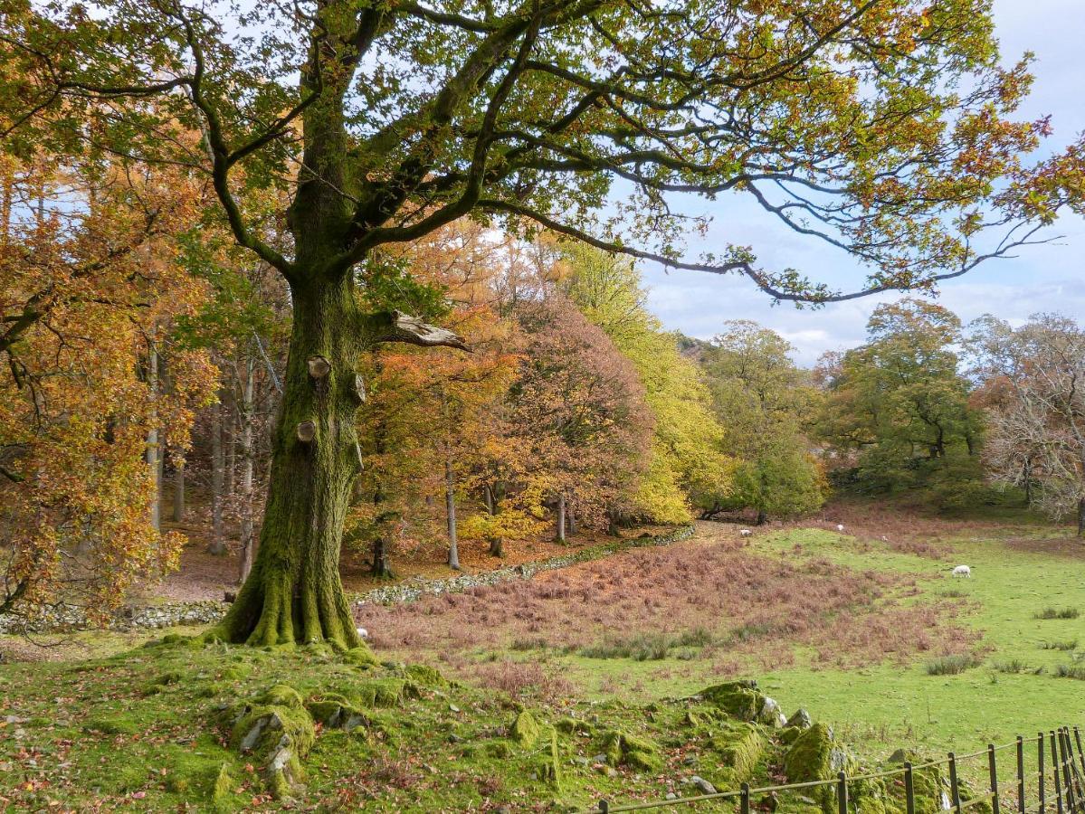 Cherry - Woodland Cottages باونيس أون وينديرمير المظهر الخارجي الصورة