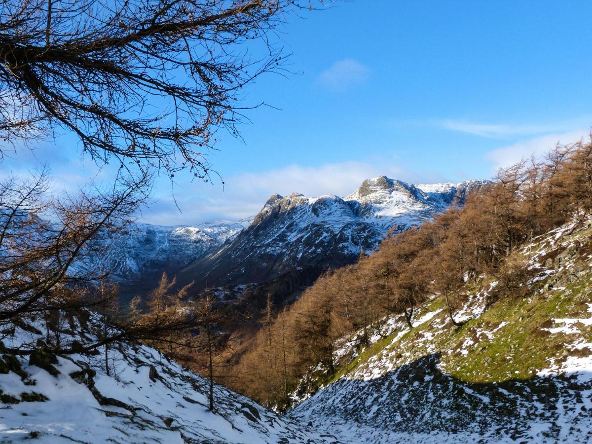 Cherry - Woodland Cottages باونيس أون وينديرمير المظهر الخارجي الصورة